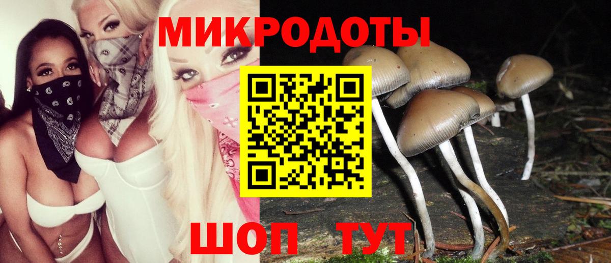 Псилоцибиновые грибы GOLDEN TEACHER  купить  цена  Псилоцибиновые грибы прущие грибы  Сальск  Вход с VPN 